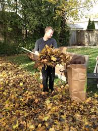 many leaves